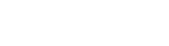 SISELECVIDEO Logo